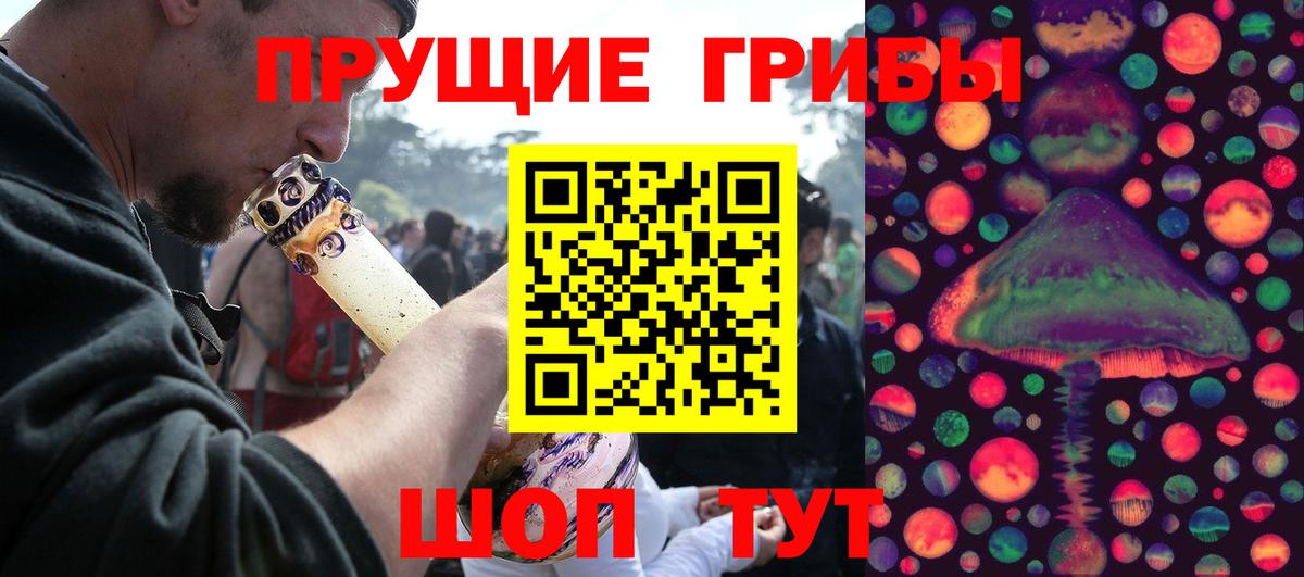 Псилоцибиновые грибы Cubensis Пенза