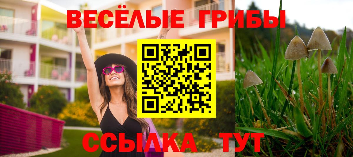 Галлюциногенные грибы прущие грибы  Вход с VPN  магазин продажи наркотиков  Галлюциногенные грибы Psilocybine cubensis  Пенза 